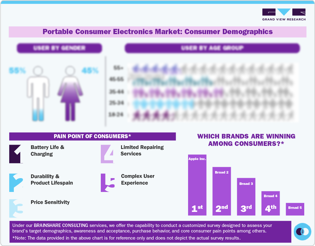 Portable Consumer Electronics Market: Consumer Demographics 